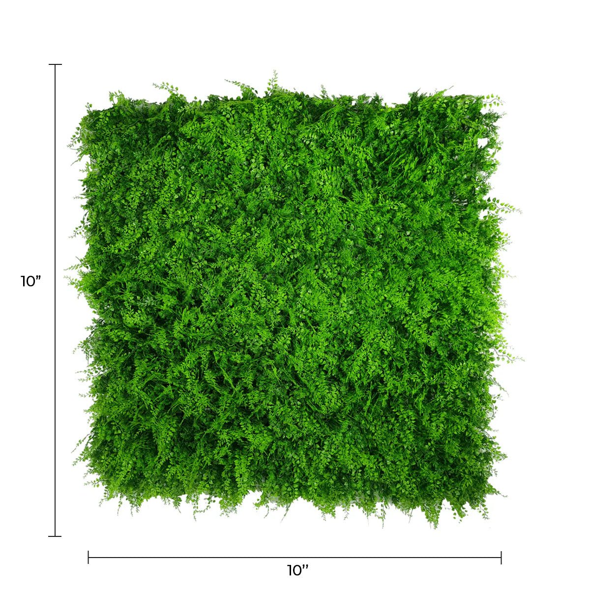 Panel de muestra de pared verde artificial de helecho exuberante (muestra pequeña) Grado comercial resistente a los rayos UV