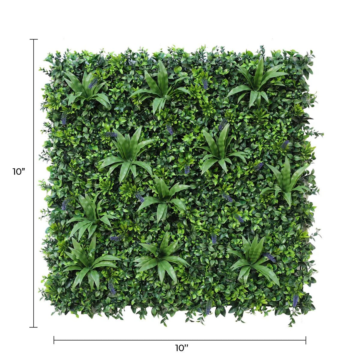 Sample Panel – Lavender Fields Green Wall (Small Sample) — Sample from Designer Plants USA