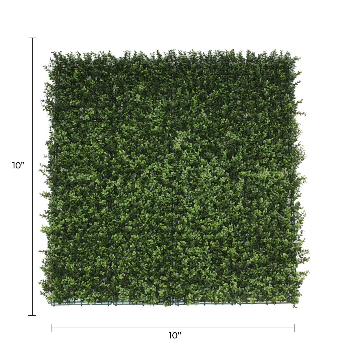 Pared de boj artificial natural 40" x 40" 11SQ FT resistente a los rayos UV