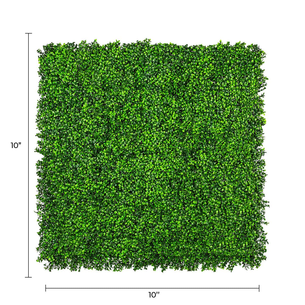 Pared de boj artificial brillante premium 40" x 40" 11SQ FT resistente a los rayos UV