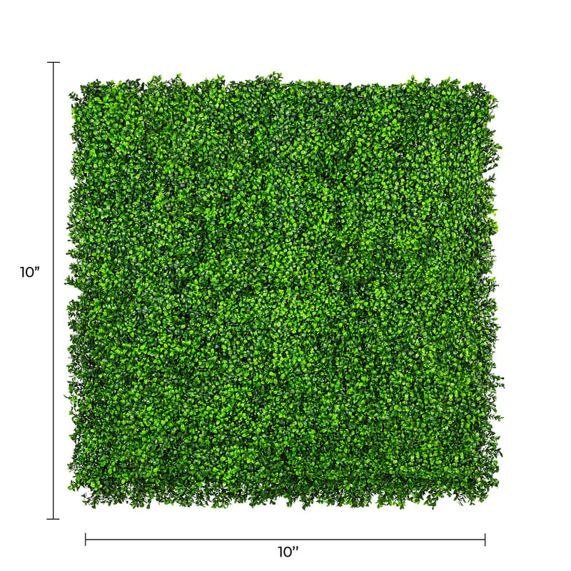 Sample Panel of Premium Bright Artificial Boxwood Wall (Small Sample) Commercial Grade UV Resistant