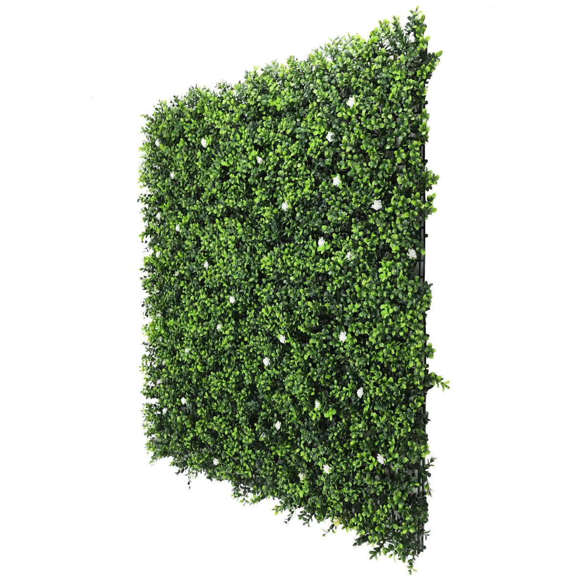 Sample Panel – White Flowering Boxwood Green Wall (Small Sample) by Designer Plants USA — view 9 of 15