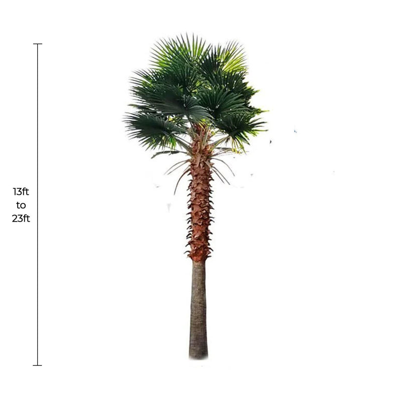 Tall Artificial Mexican Fan Palm Tree (13ft - 23ft) UV Resistant (10-12 Week Back Order)