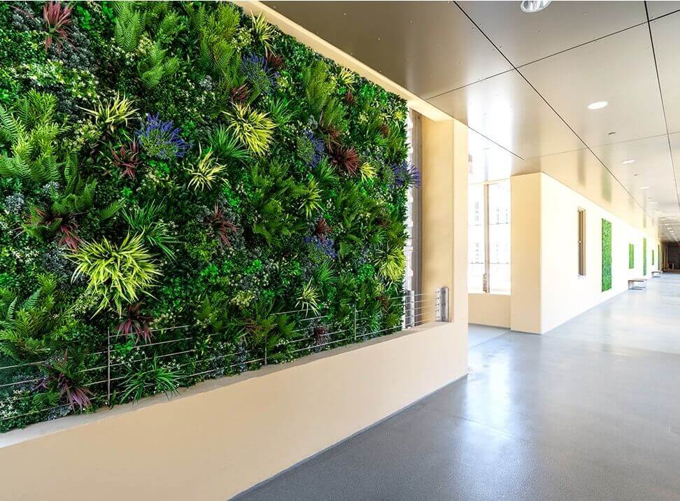 Sample Panel – Country Fern Vertical Garden (Small Sample) (Designer Plants USA) — view 28 of 36