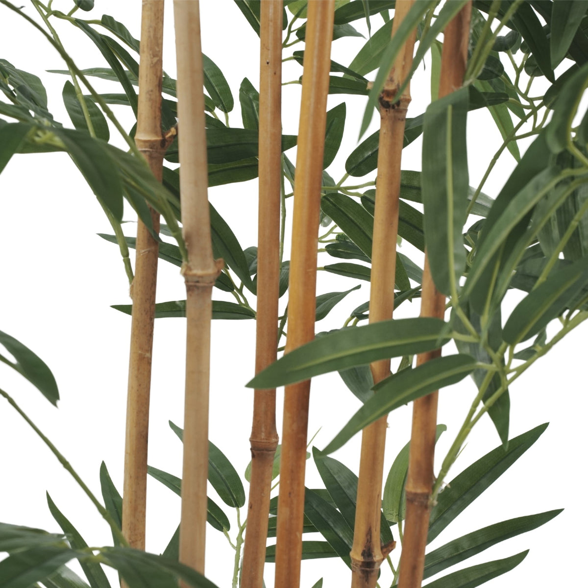 Artificial Tree: Potted Bamboo Natural Trunk Artificial Tree 70.9in by Designer Plants USA