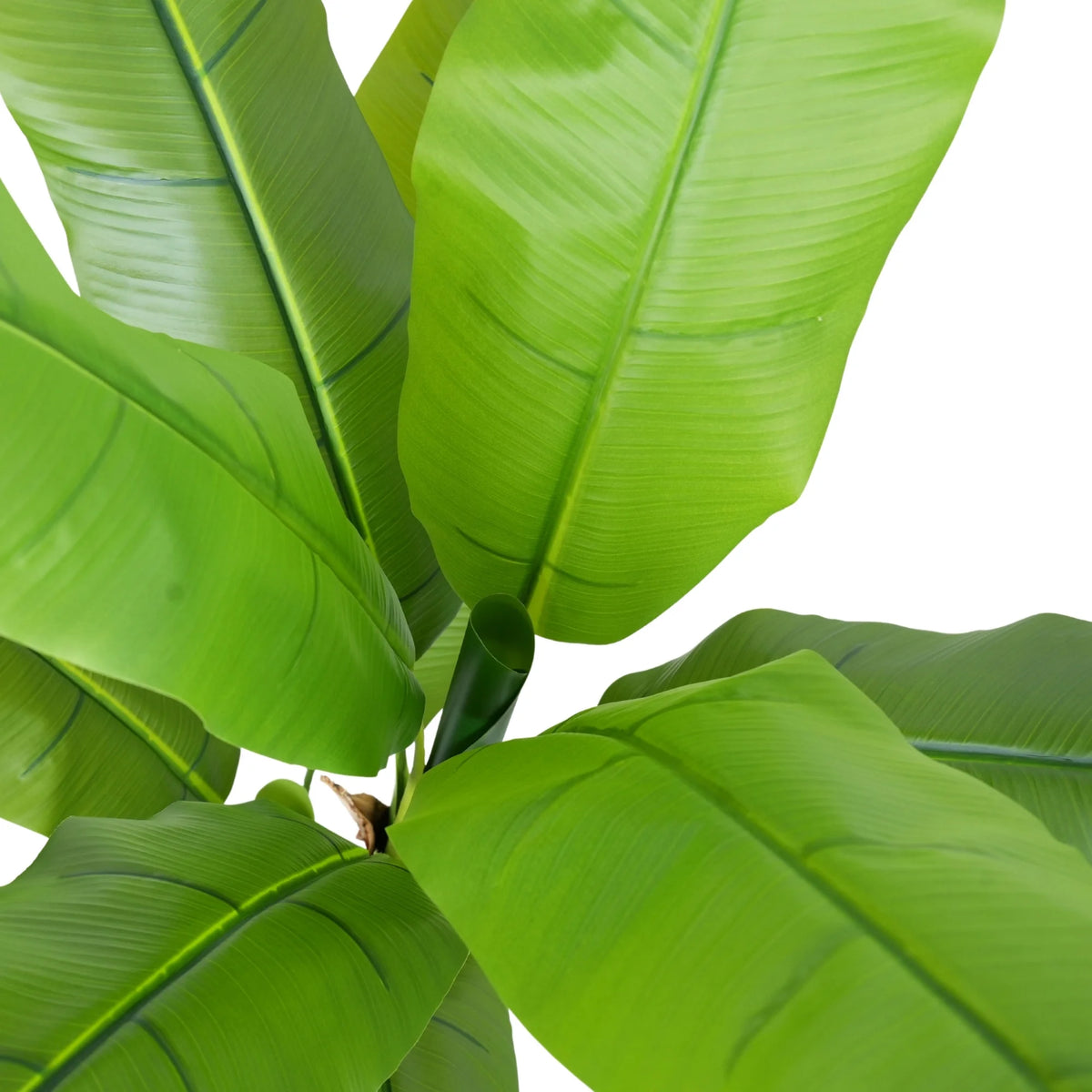 Wide Leaf Banana Artificial Tree 47.2in — featuring Non UV Resistant
