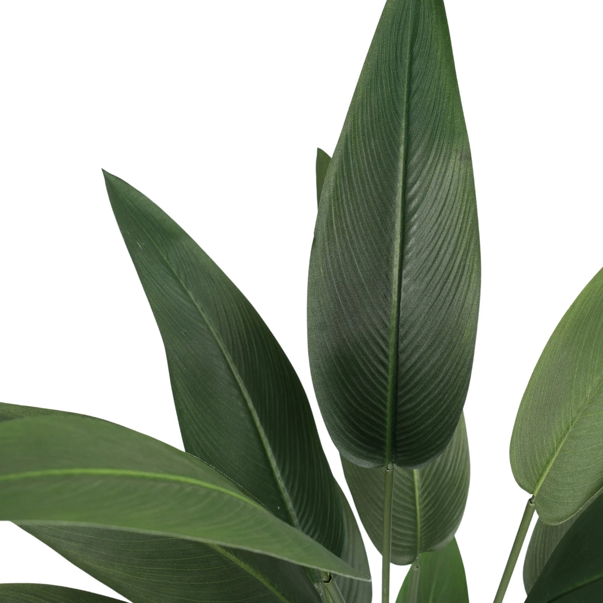 Artificial Tree: Bird of Paradise Artificial Tree 47.2in by Designer Plants USA