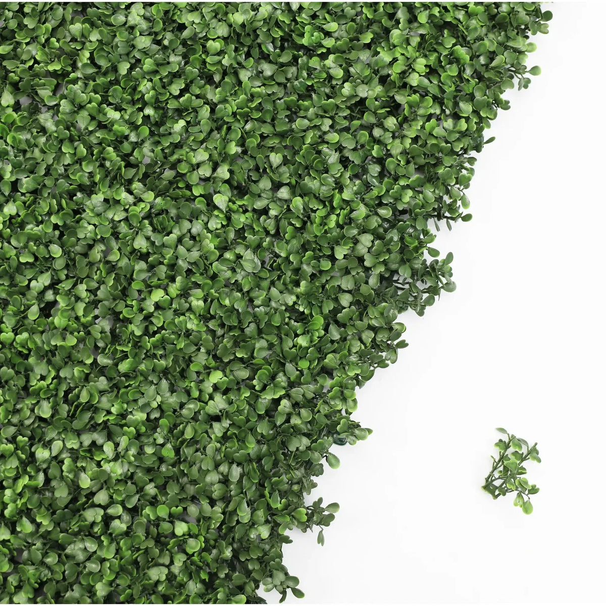 Sample Panel – Dark Boxwood Green Wall (Small Sample) — featuring UV Resistant — view 10 of 21