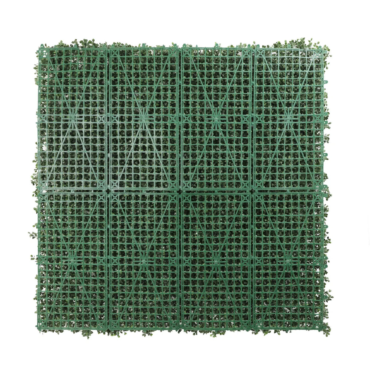 Sample Panel – Dark Boxwood Green Wall (Small Sample) (Designer Plants USA) — view 12 of 21