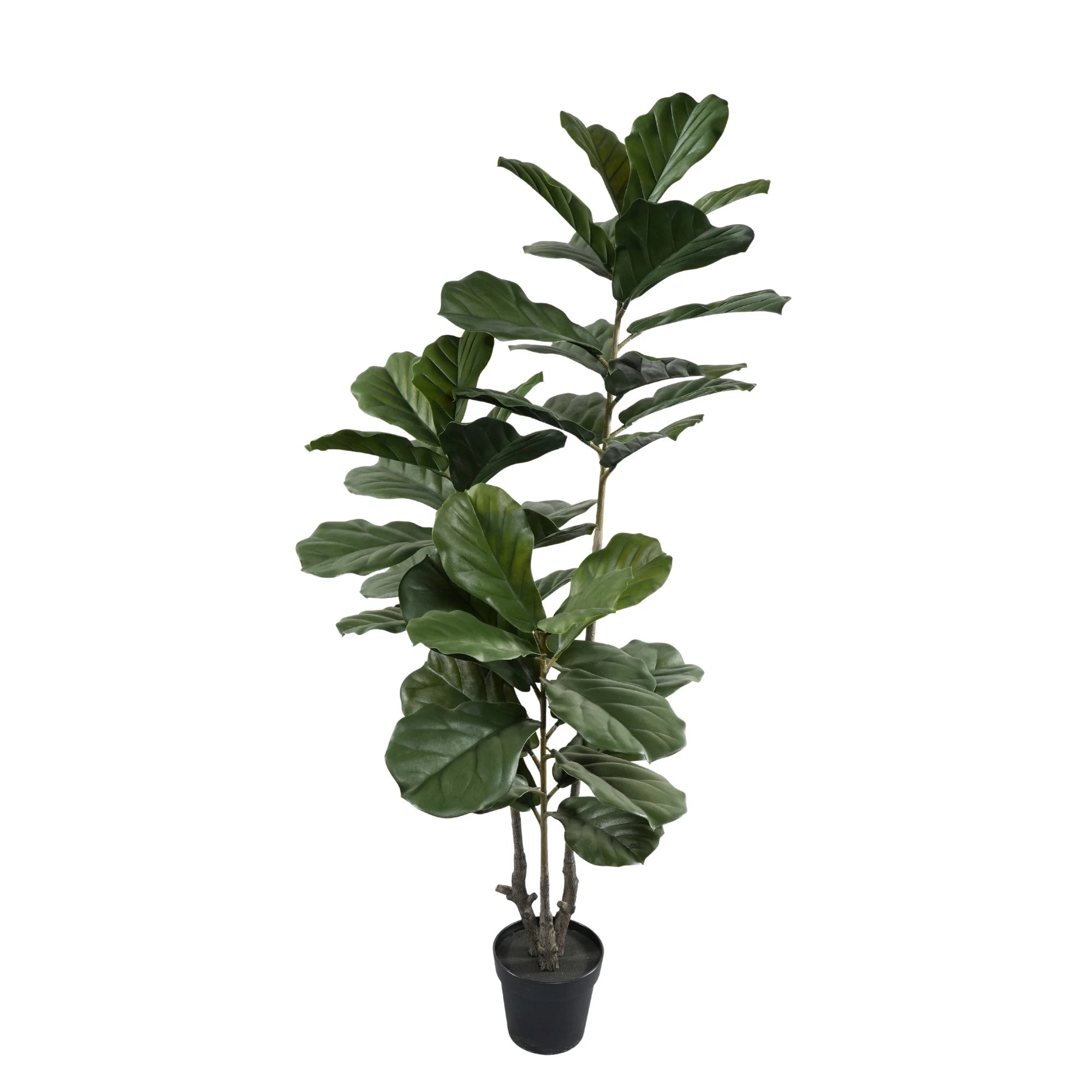 Premium Multi-stem Artificial Fiddle Leaf Tree 63.0in UV Resistant (Knock-down)