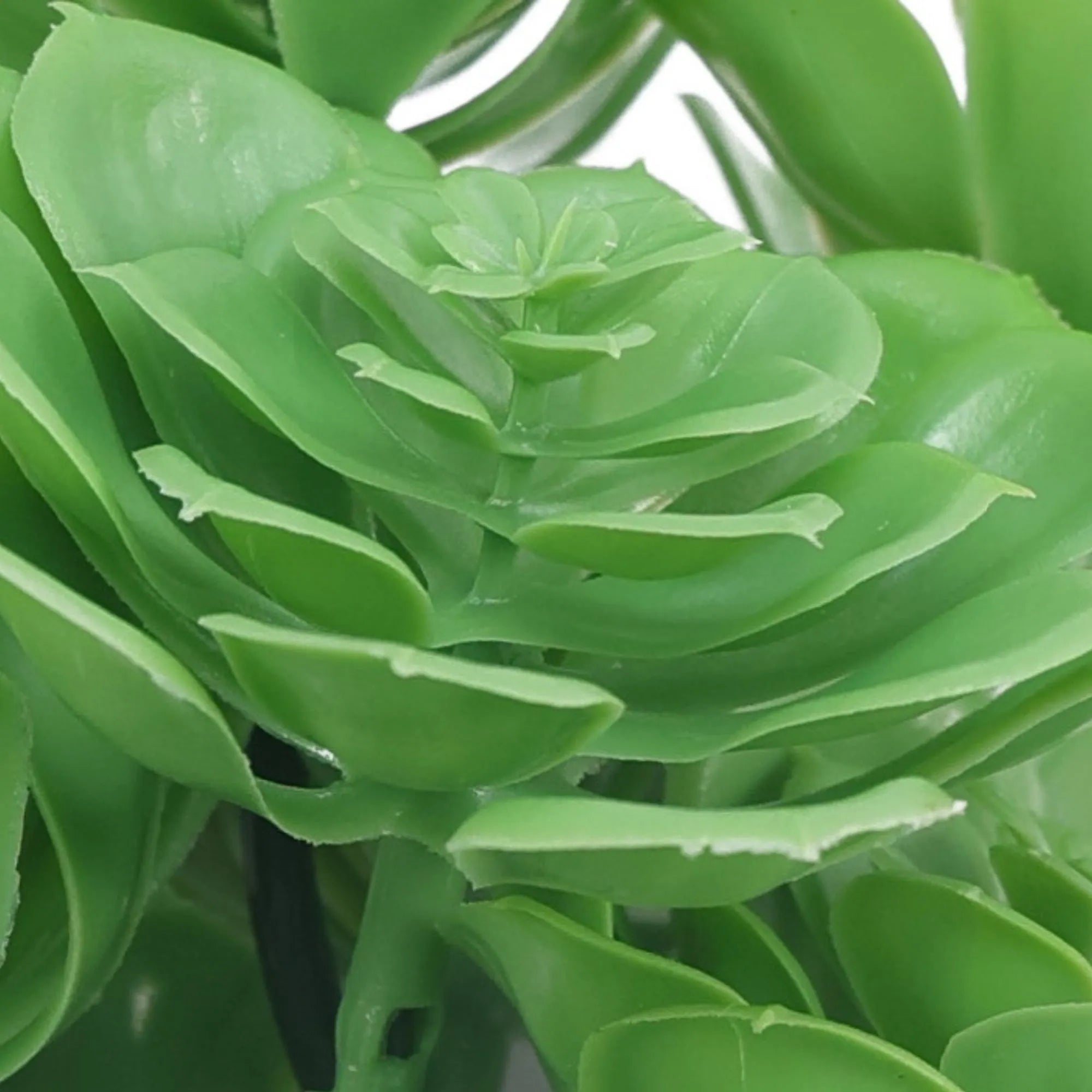 Green Aeoniums Succulent Artificial Topiary Set of 5 11.8in – UV Resistant