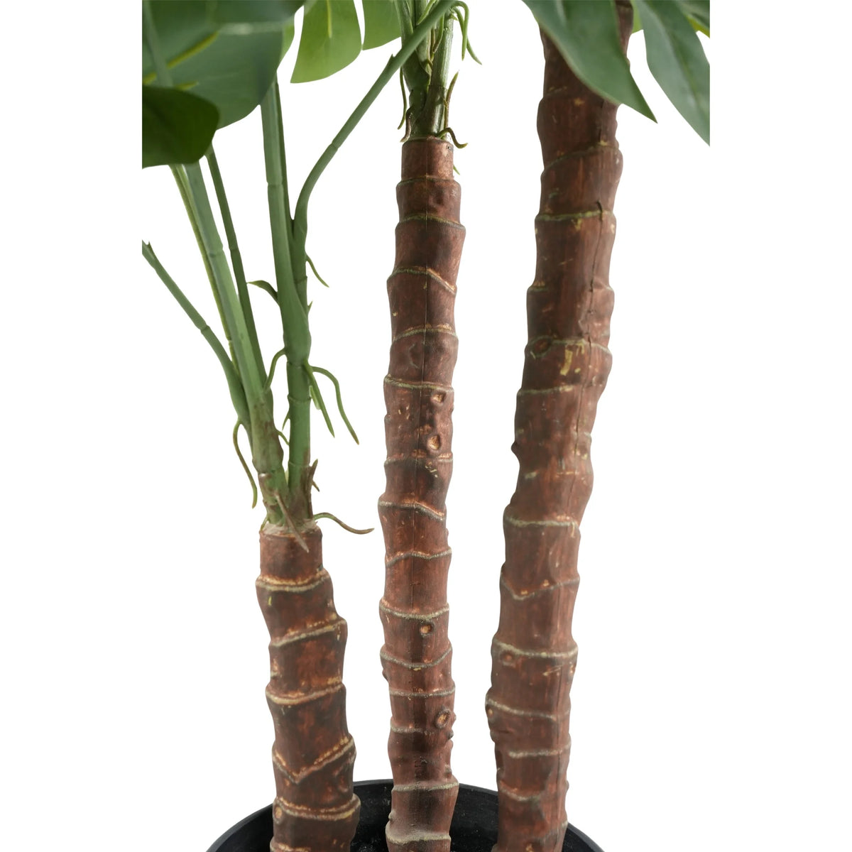 Artificial Tree: Monstera Artificial Tree 39.4in by Designer Plants USA