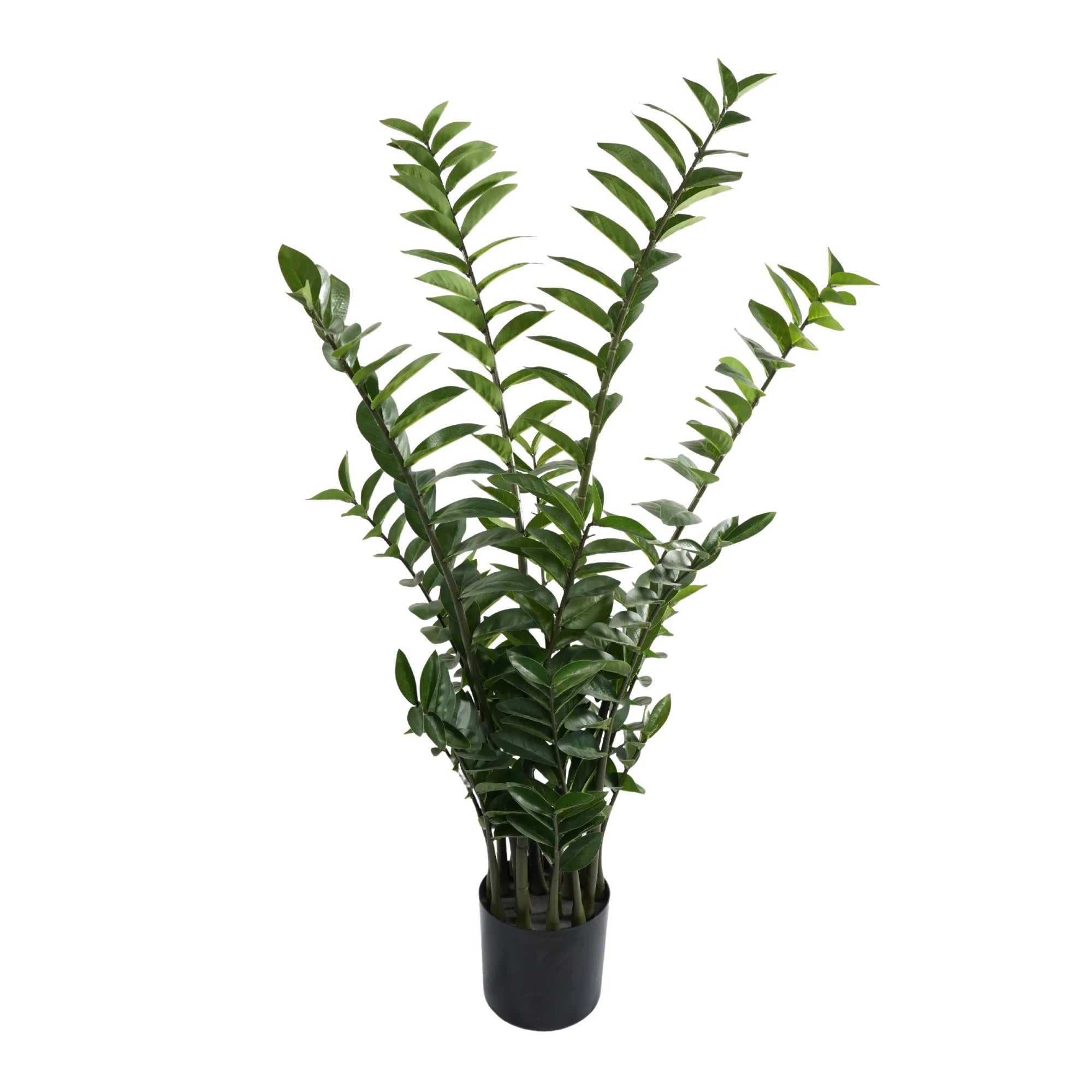 Premium Hand Crafted Artificial Zanzibar Gem Plant 51.2in Multi-stem