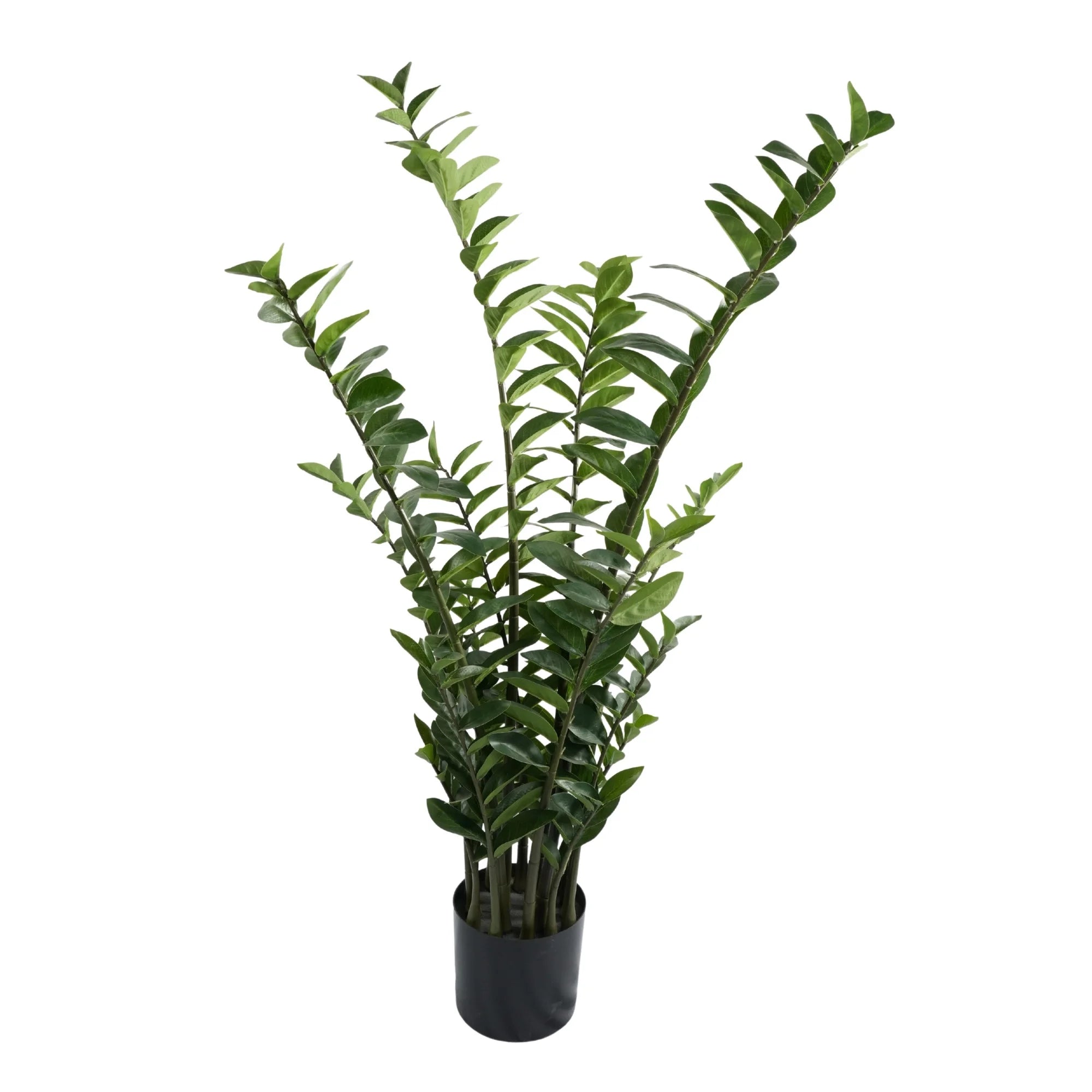 Premium Hand Crafted Artificial Zanzibar Gem Plant 51.2in Multi-stem