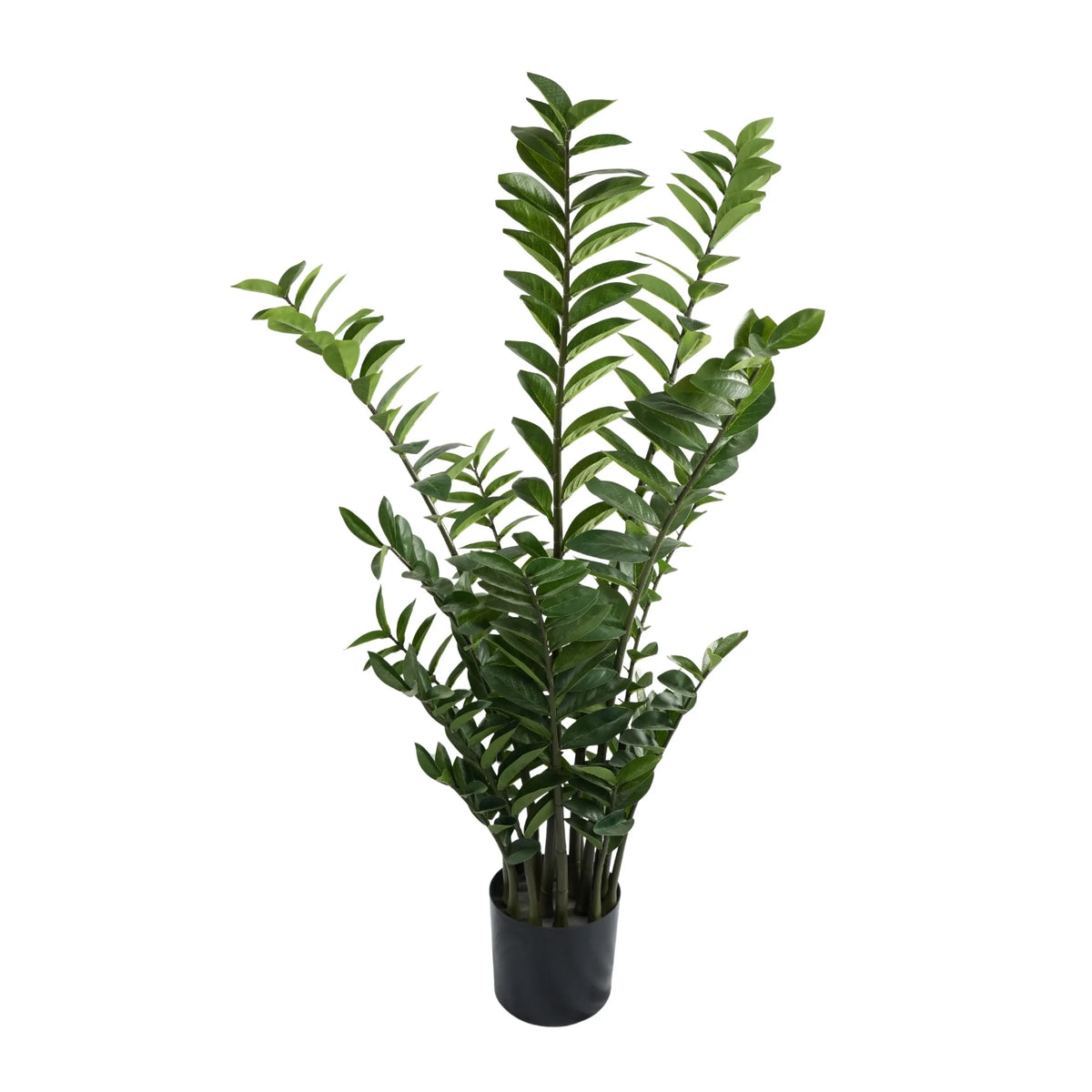 Zanzibar Gem Artificial Tree 51.2in (Designer Plants USA) — view 4 of 6