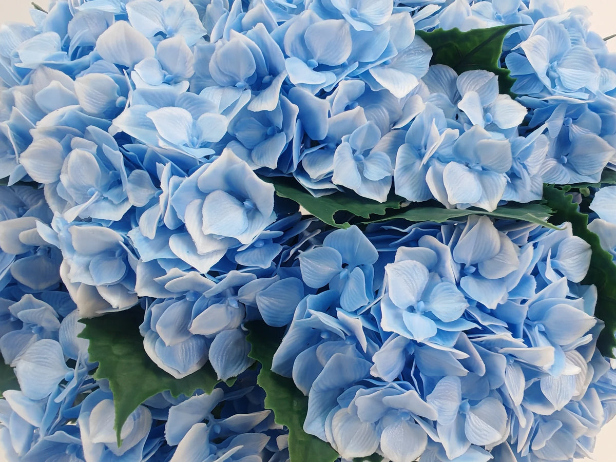 Close-up of blue artificial hydrangea petals and green leaves on the hydrangea bush