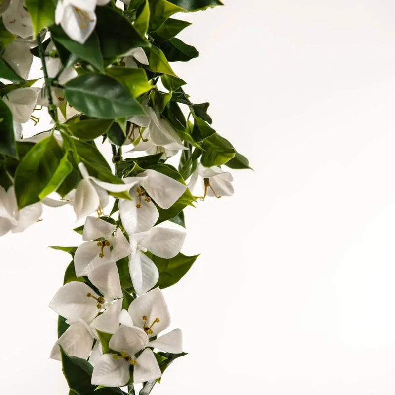 White hanging artificial bougainvillea plants on a white background, perfect for adding a touch of nature to any space with this (5 Pieces) Hanging White Artificial Bougainvillea Plant UV Resistant 35".