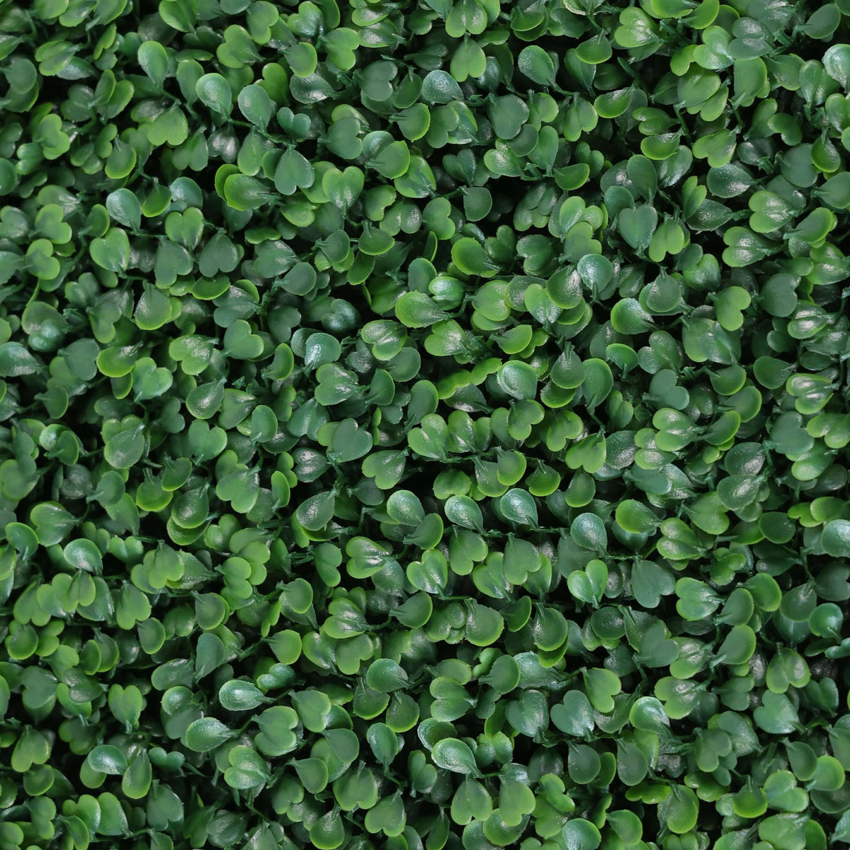Boxwood Artificial Hedge 7.5ft – UV Resistant – Commercial Grade — view 8 of 8