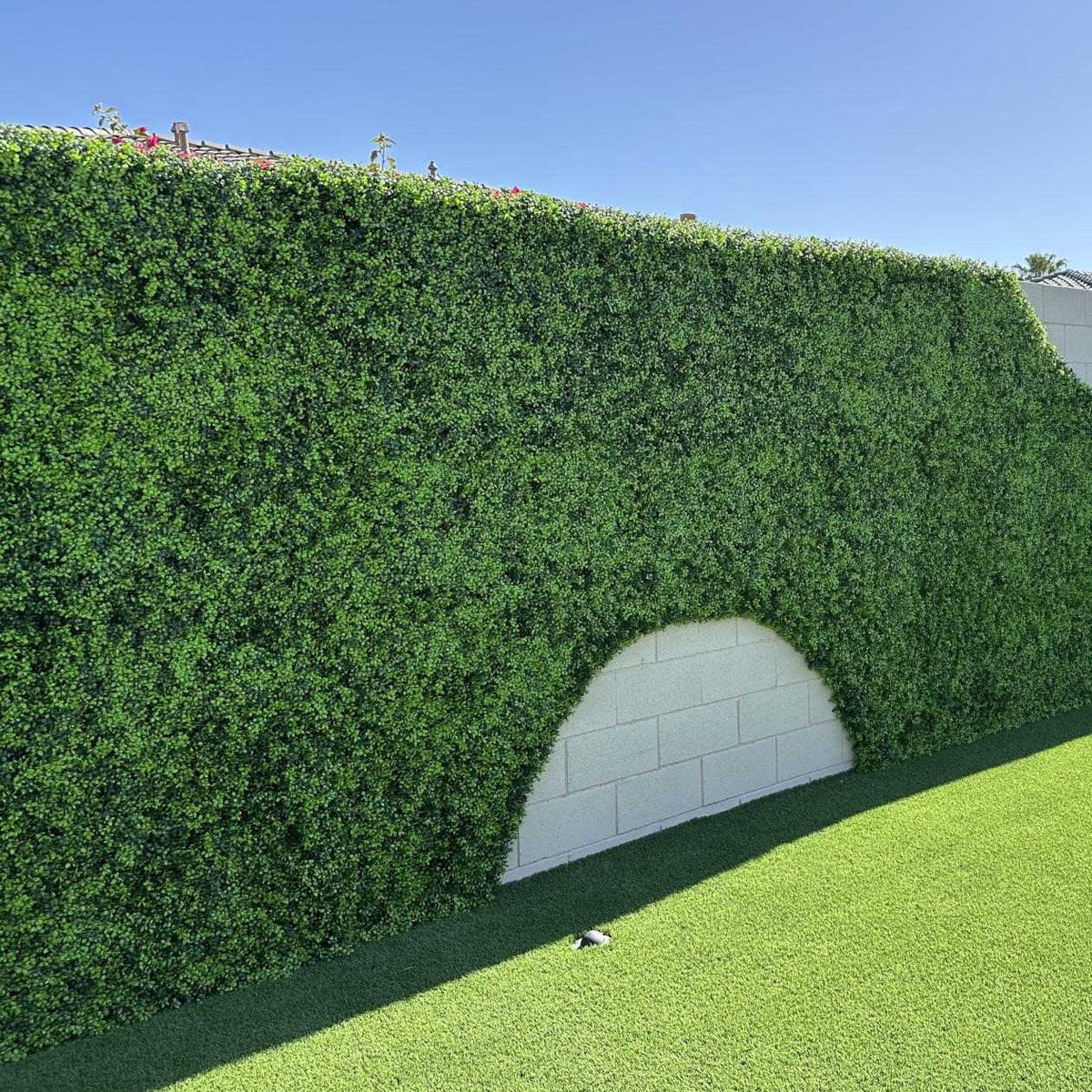 Bright Boxwood Artificial Vertical Garden Green Wall Panel 40×40in 11 SQ FT – UV Resistant – Commercial Grade by Designer…
