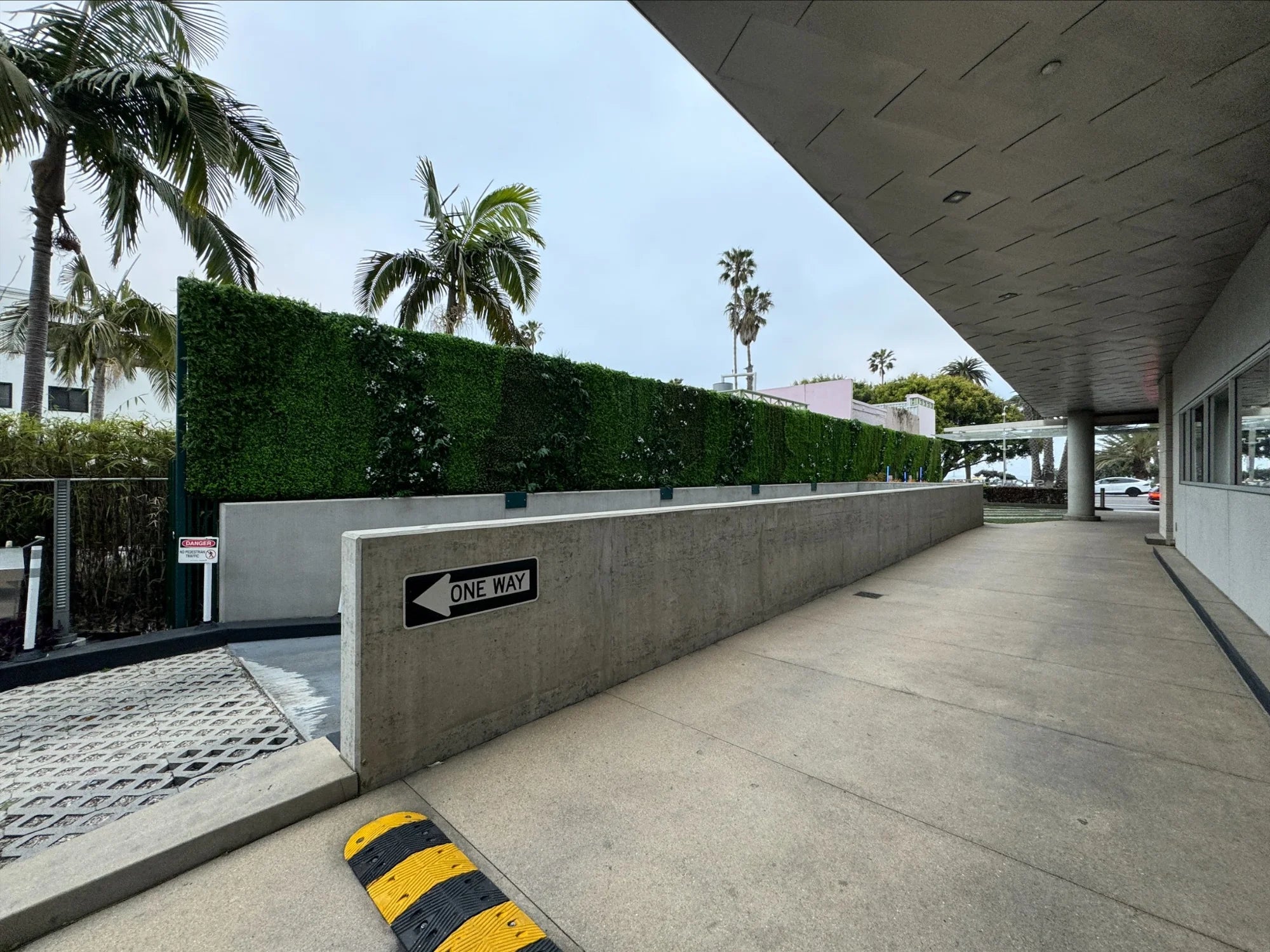 Panel de muestra de pared verde artificial de helecho exuberante (muestra pequeña) Grado comercial resistente a los rayos UV