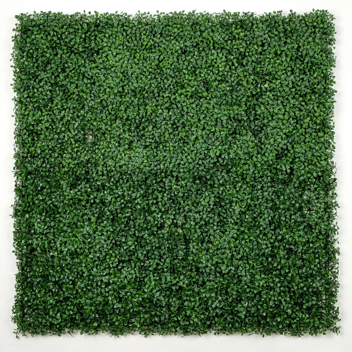Dark Boxwood Artificial Vertical Garden Green Wall Panel 40×40in 11 SQ FT – UV Resistant – Commercial Grade by Designer…