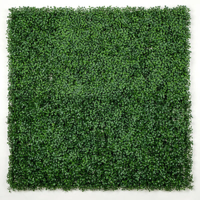 Pared de boj artificial oscuro, 40" x 40", 11 pies cuadrados, grado comercial, resistente a los rayos UV