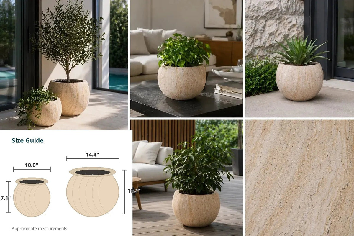 2-Piece Luxury Rounded Marble Bowl Planter Set - Designer Plants USA