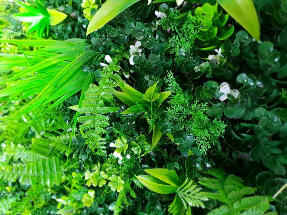 Sample Panel – Wild Tropics Vertical Garden (Small Sample) by Designer Plants USA — view 16 of 28