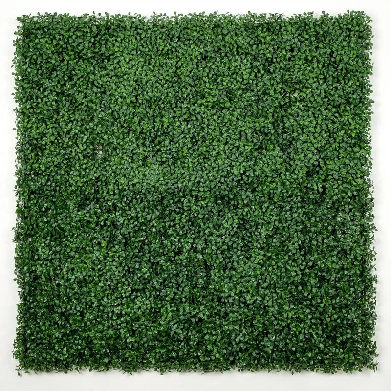 Dark Artificial Boxwood Wall (6 Pieces 40" x 40") 66 SQ FT Set Commercial Grade UV Resistant (EXCESS STOCK PRICE)