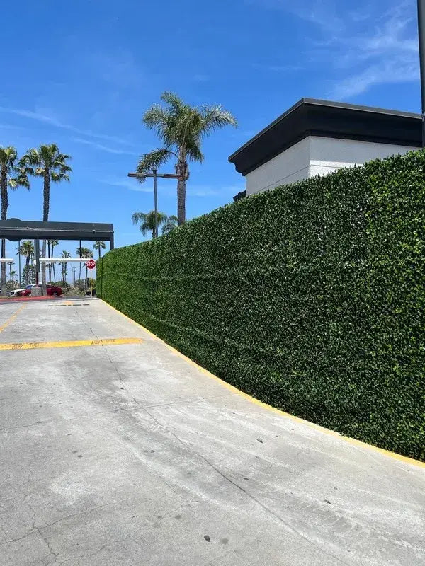 Transform Your Southern California Space With Vertical Gardens