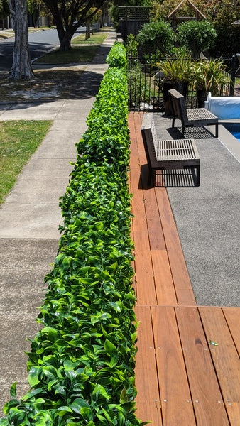 iso compliant fake hedges