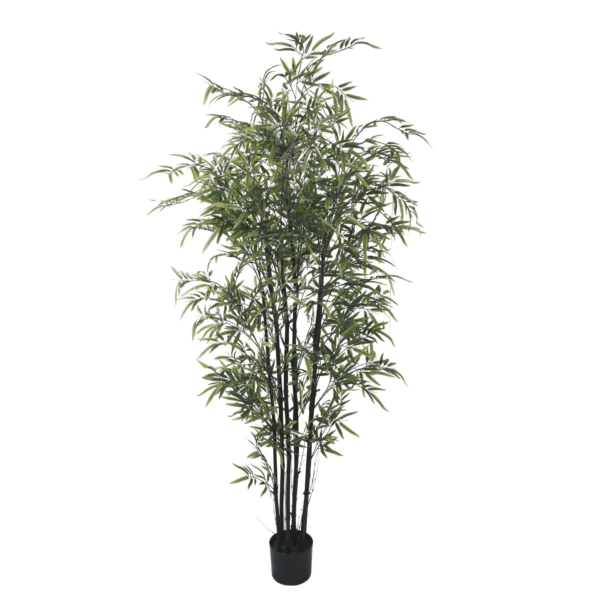 Premium Dense Artificial Black Bamboo 70.9in