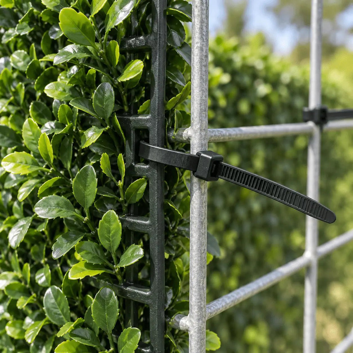 10-inch black UV-resistant zip tie securing an artificial green wall panel to outdoor wire mesh