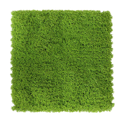 Evergreen Moss Artificial Green Wall Mat 33 SQ FT – UV Resistant – Commercial Grade (Clearance Price)