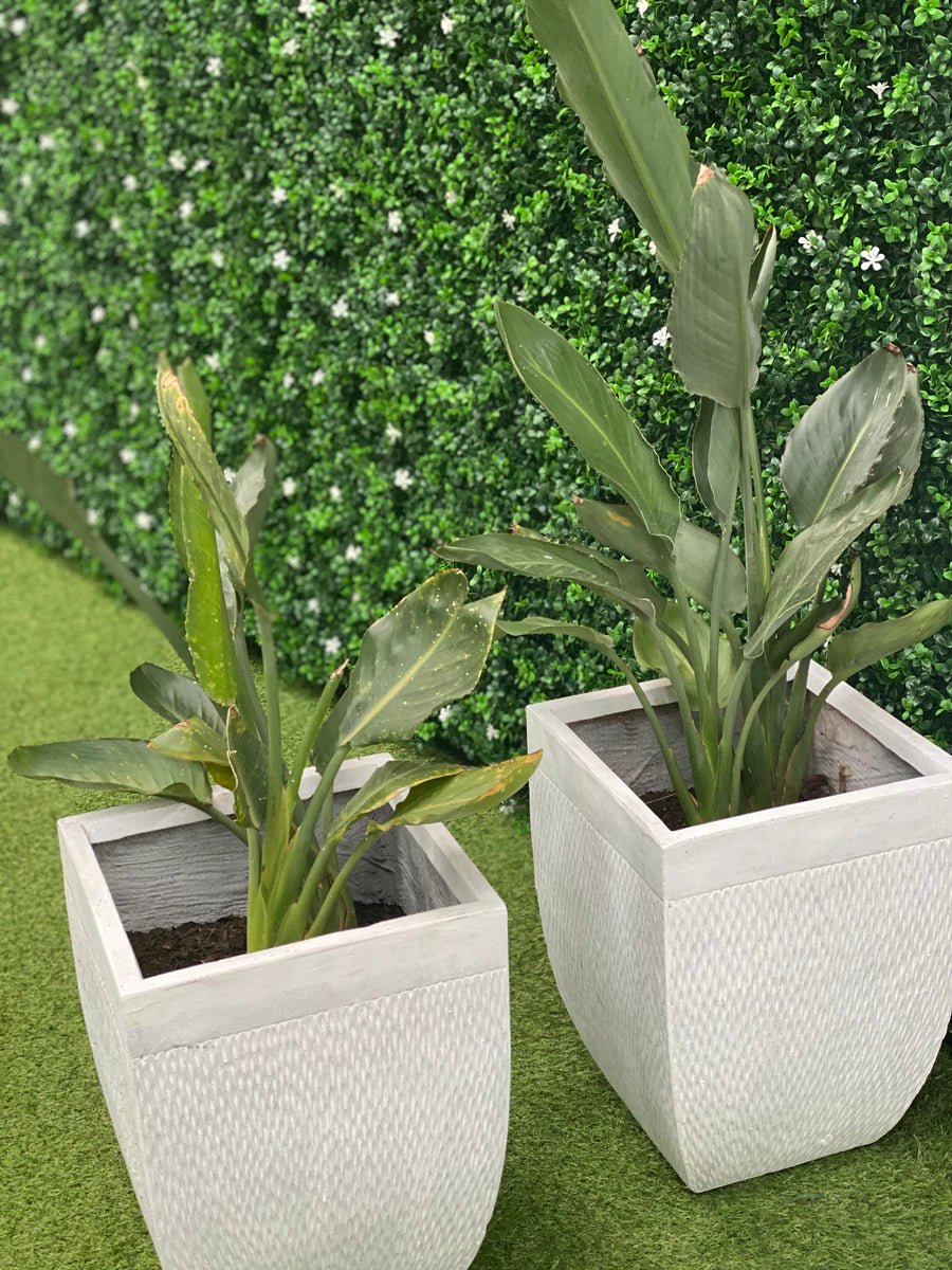 Flowering artificial boxwood hedge panels