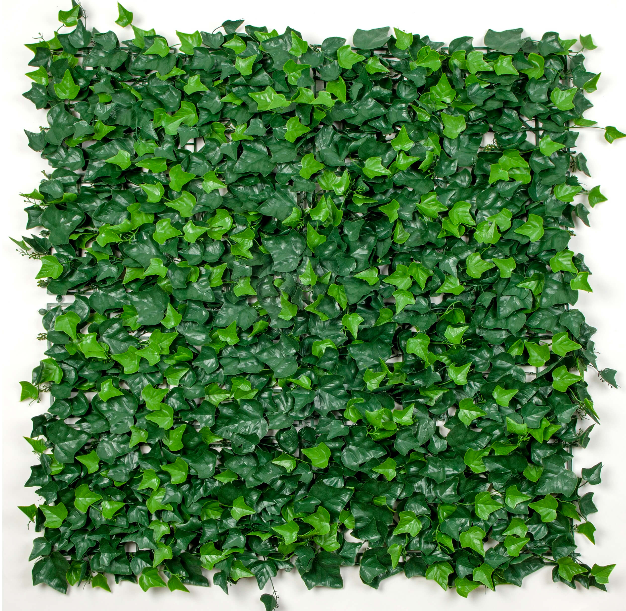 Artificial Boston Ivy Green Wall 33SQ FT Commercial Grade UV Resistant