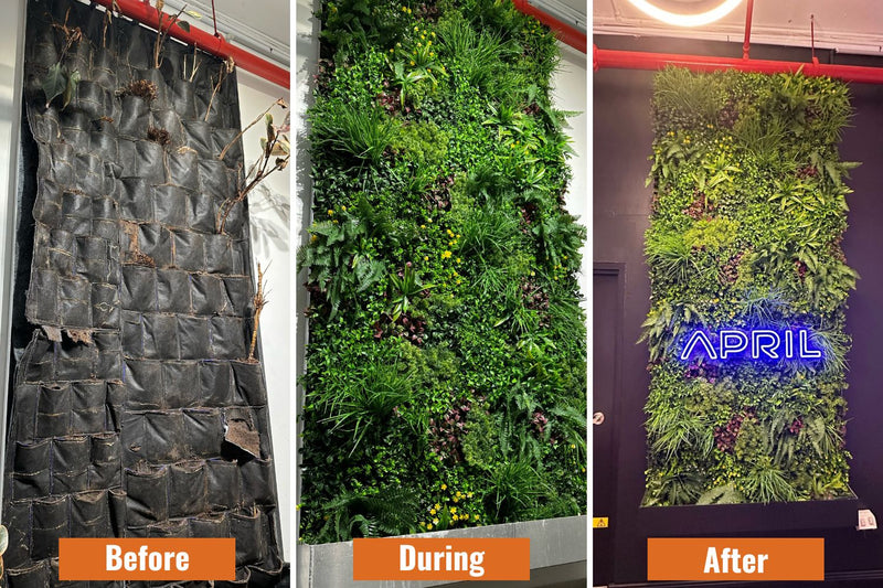 Business Transformation with Green Walls and Signage Replacing Dead Living Wall