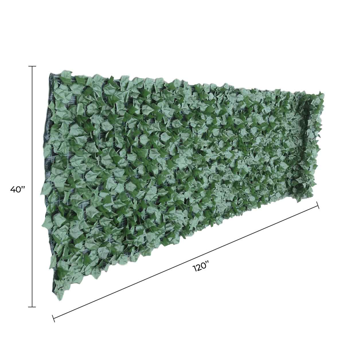 Ivy Privacy Fence Shade Cloth Backing 120×40in 33 SQ FT from Designer Plants USA