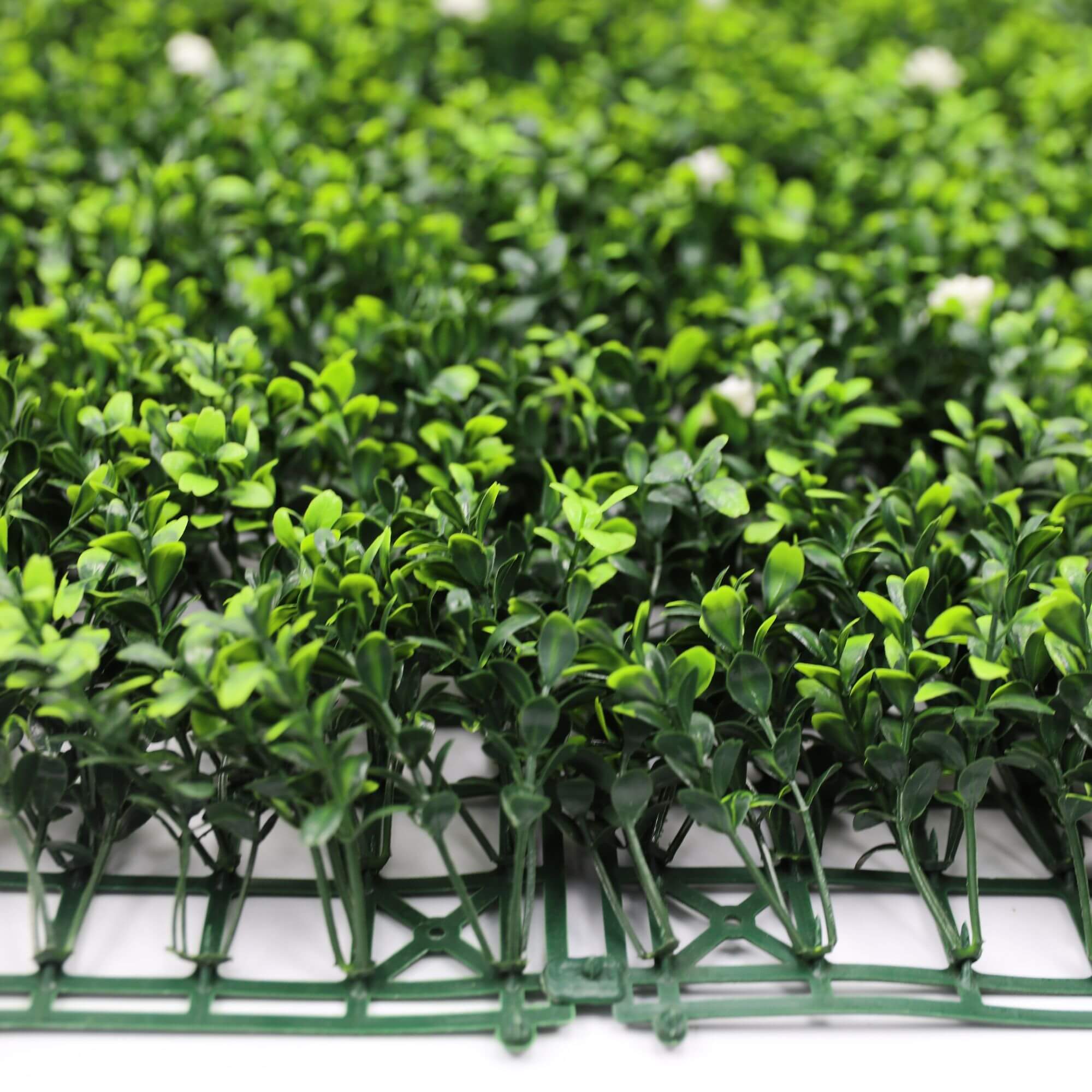 Pared de boj artificial con flores blancas 40" x 40" 11SQ FT resistente a los rayos UV