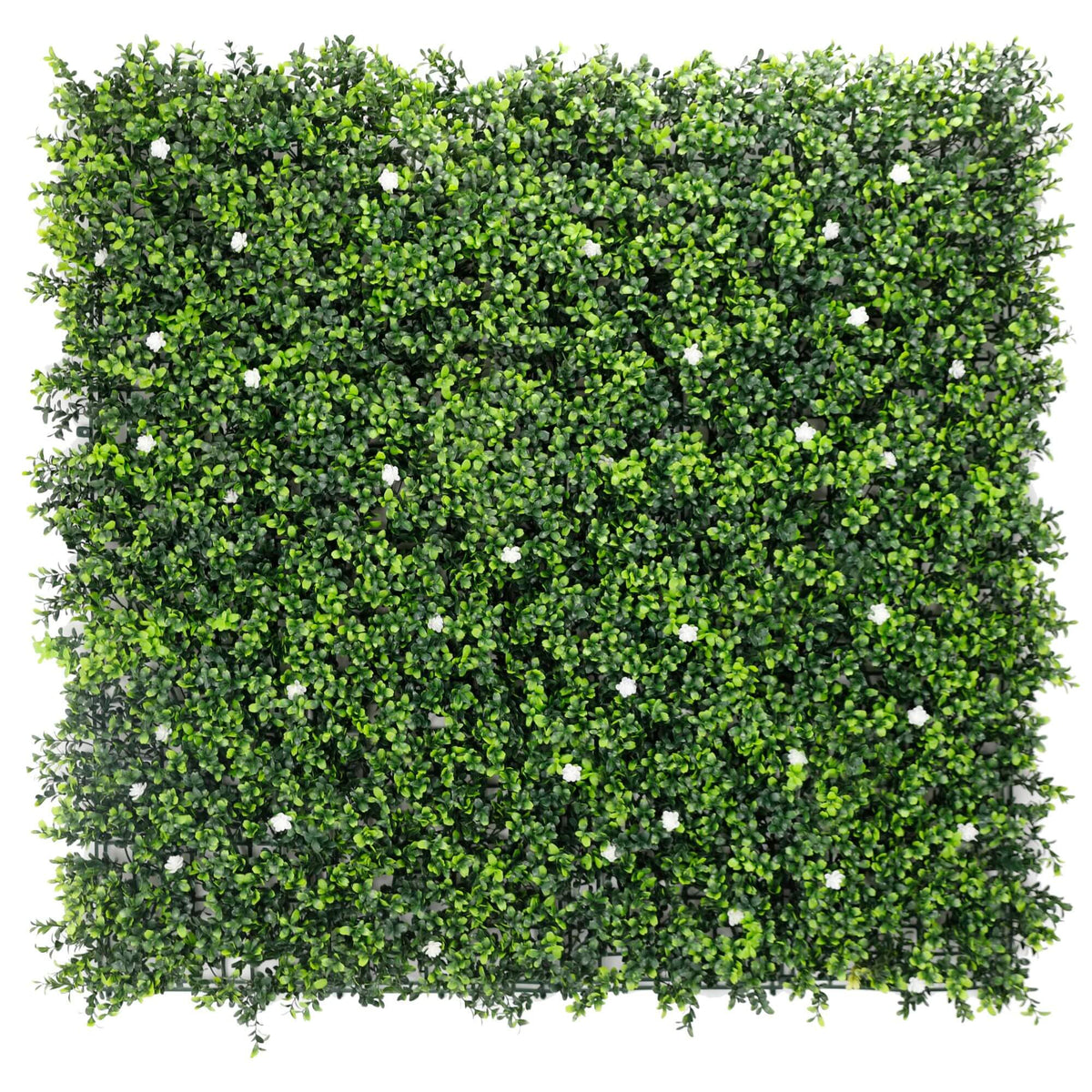 White Flowering Boxwood Artificial Vertical Garden Green Wall Panel 40×40in 11 SQ FT – UV Resistant – Commercial Grade by…