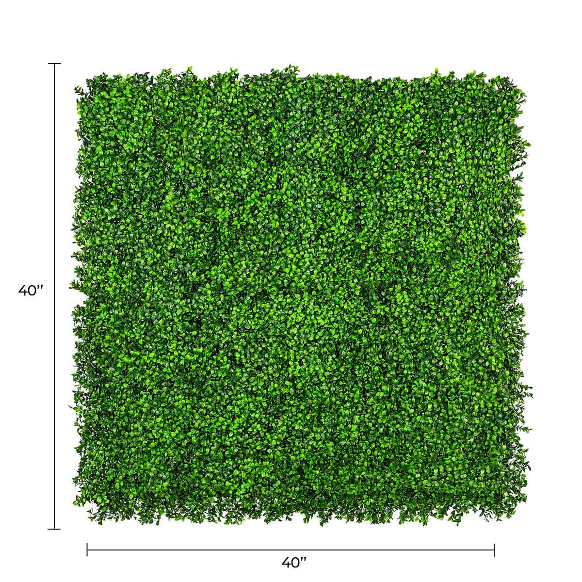 Bright Boxwood Artificial Vertical Garden Green Wall Panel 40×40in 11 SQ FT – UV Resistant – Commercial Grade — Living Walls…