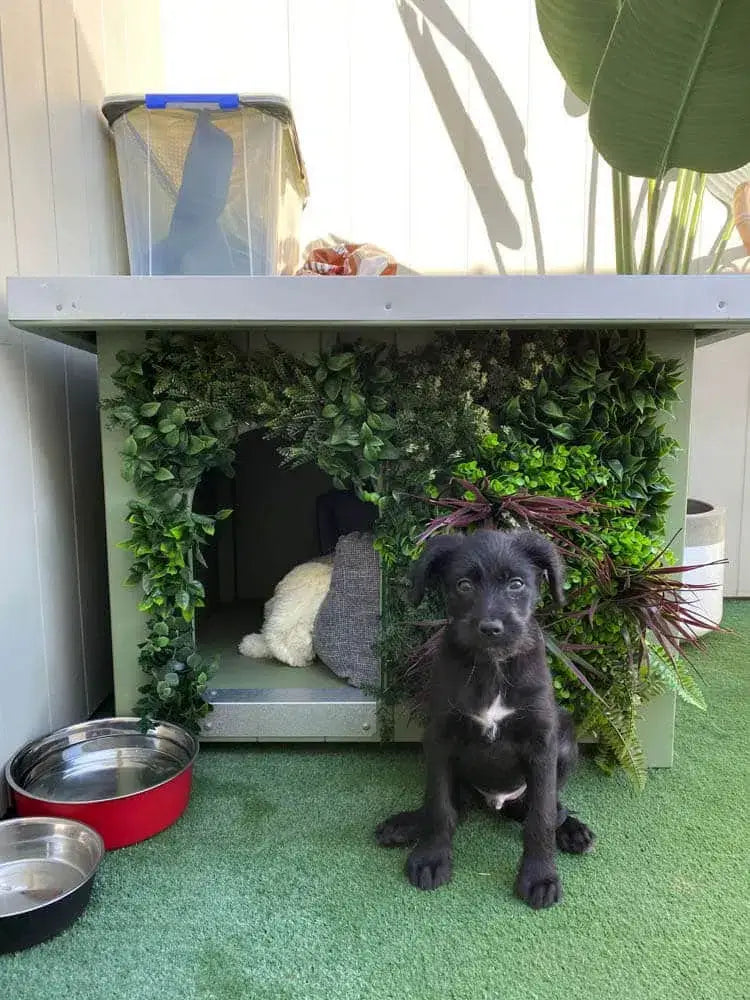 How to decorate a dog kennel with fake plants