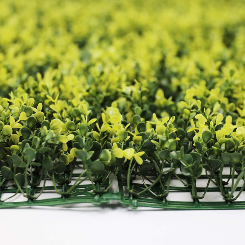 Artificial Boxwood Yellow Leaves
