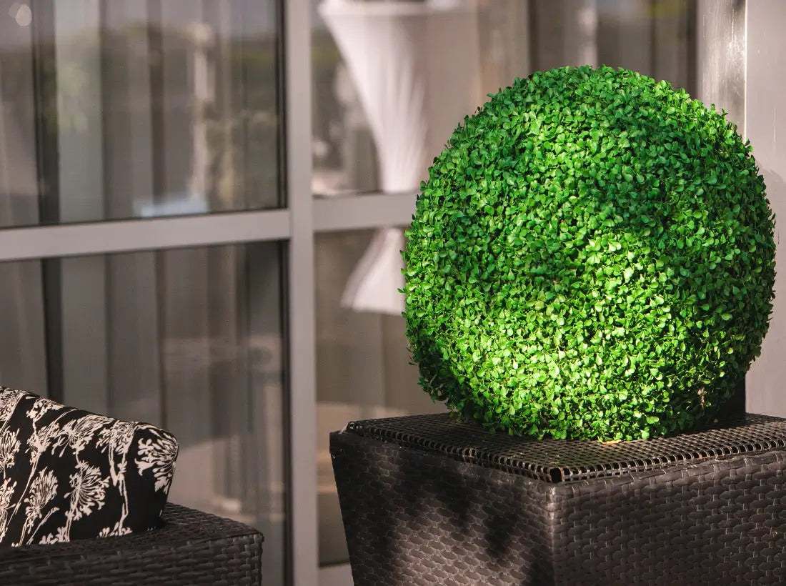 Artificial boxwood topiary ball in a modern seating area