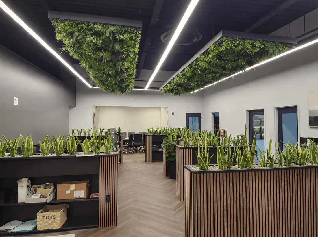 Modern office with plants and green ceiling panels