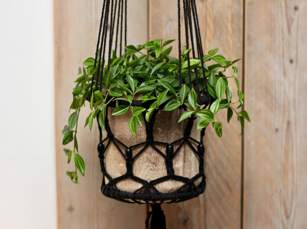 How to Make a Hanging Basket for Artificial Plants