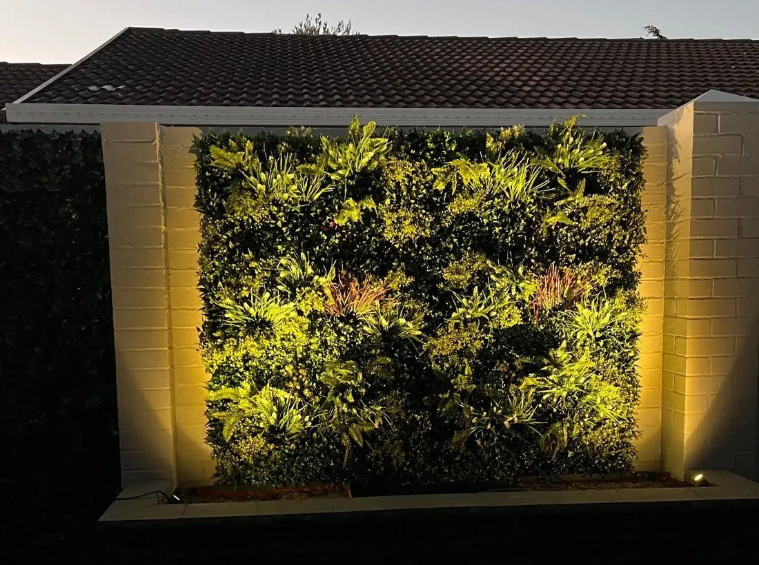 How a Green Wall Became a Feature for Days and Nights - Designer Plants USA