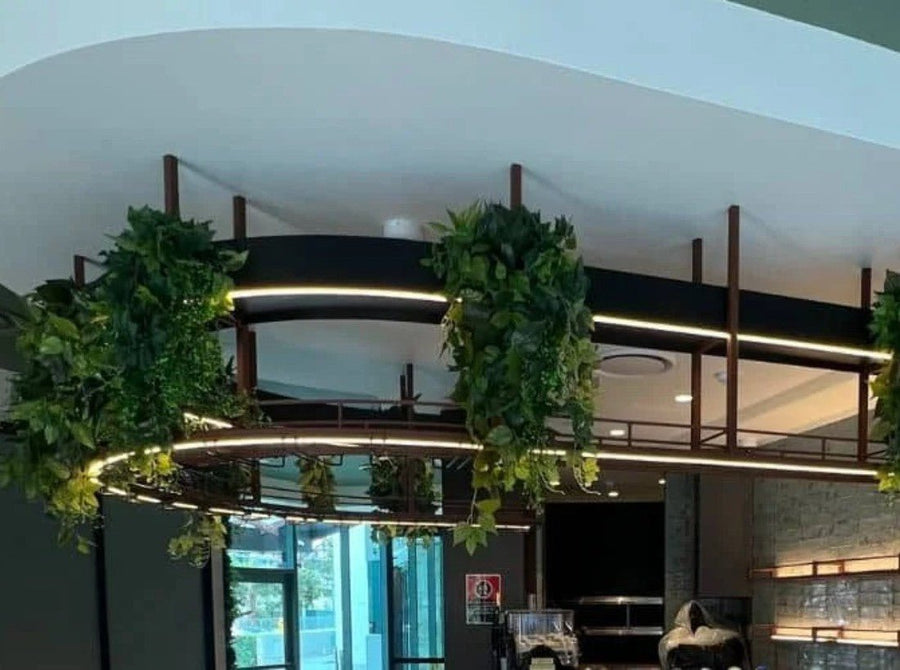 Cómo las renombradas urracas Waitara utilizaron plantas falsas para refrescar el espacio