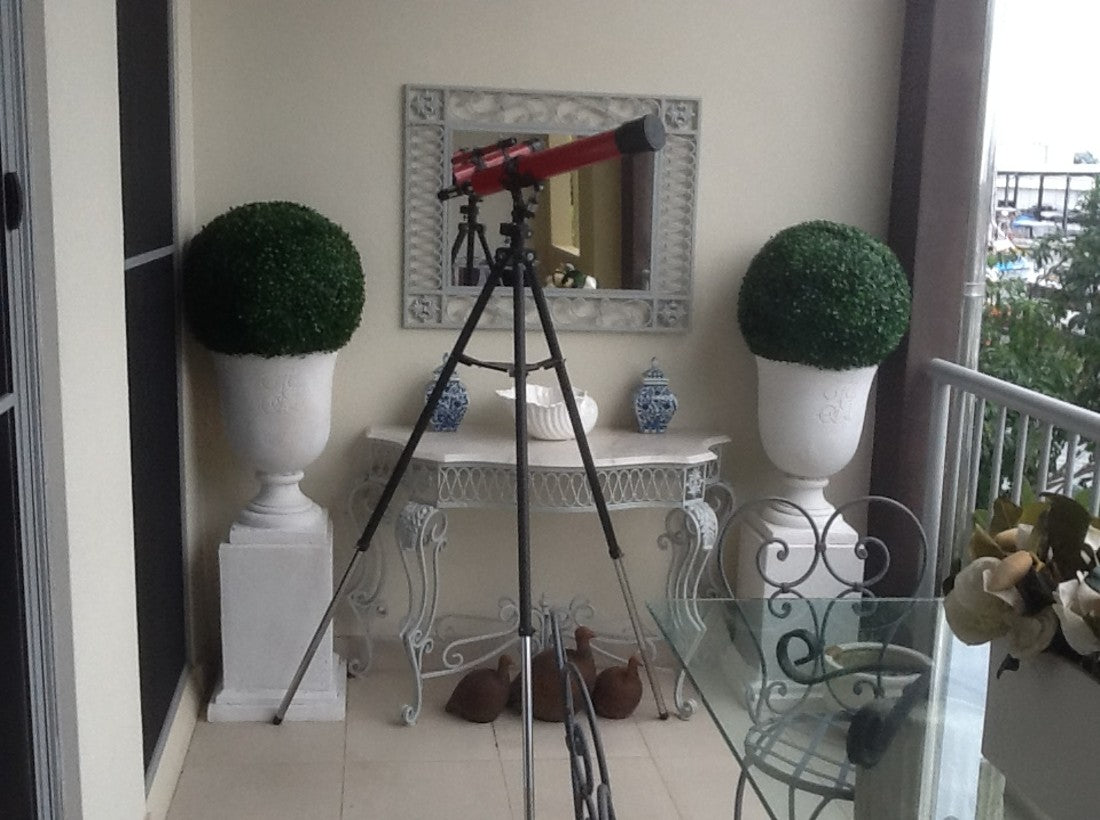 A Brief History of Topiary