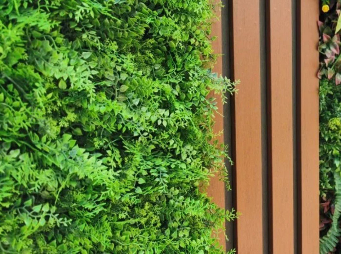 How a Client Achieved a Successful DIY Faux Green Wall Project In His Yard - Designer Plants USA
